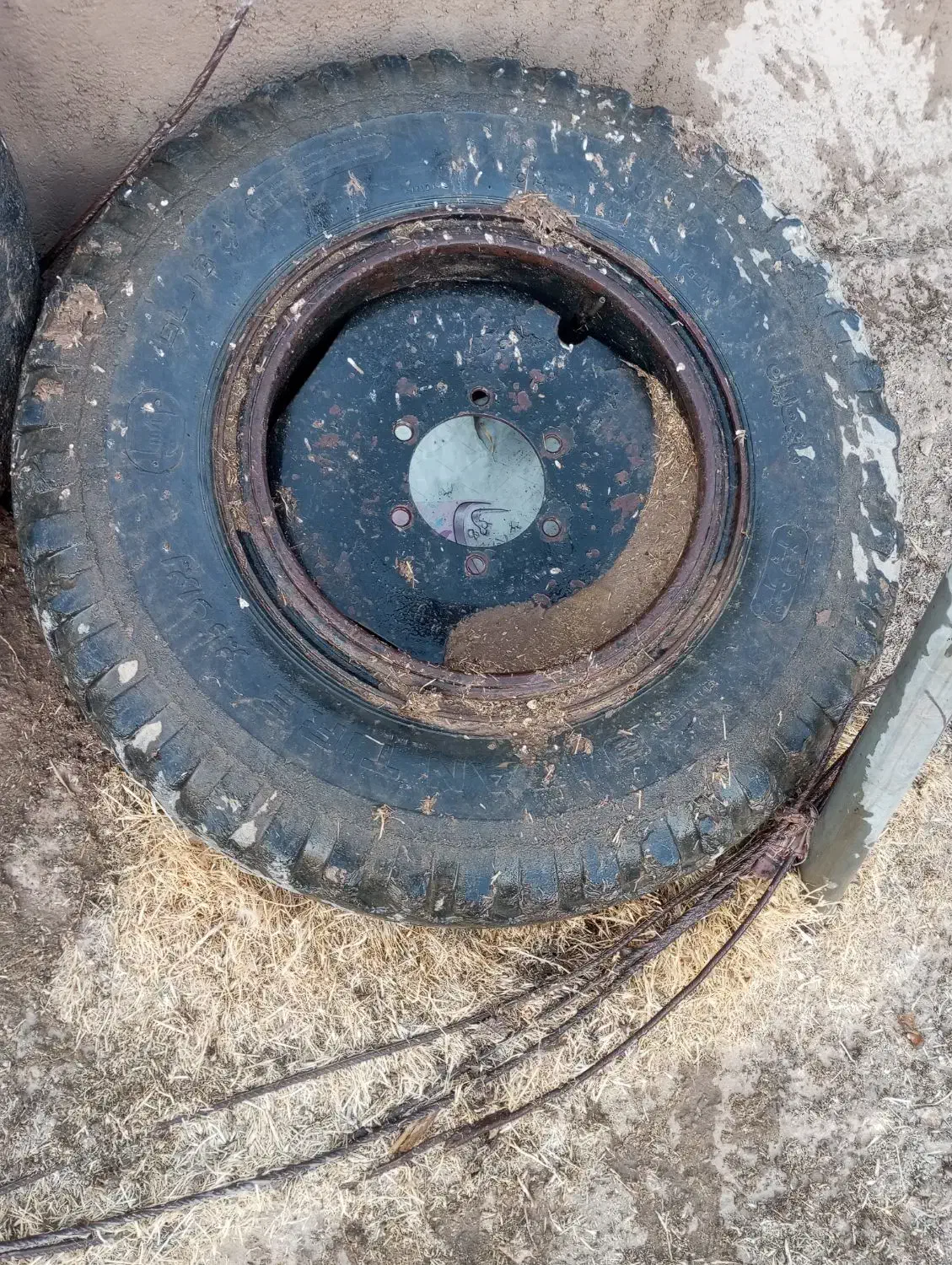 رینگ و لاستیک بیست|قطعات یدکی و لوازم جانبی|دالاهو, |دیوار