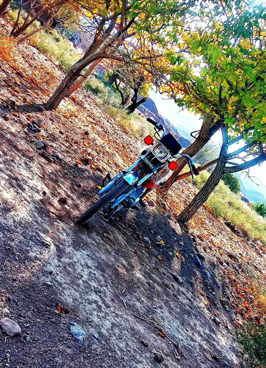 تکتاز|موتورسیکلت|رشتخوار, |دیوار