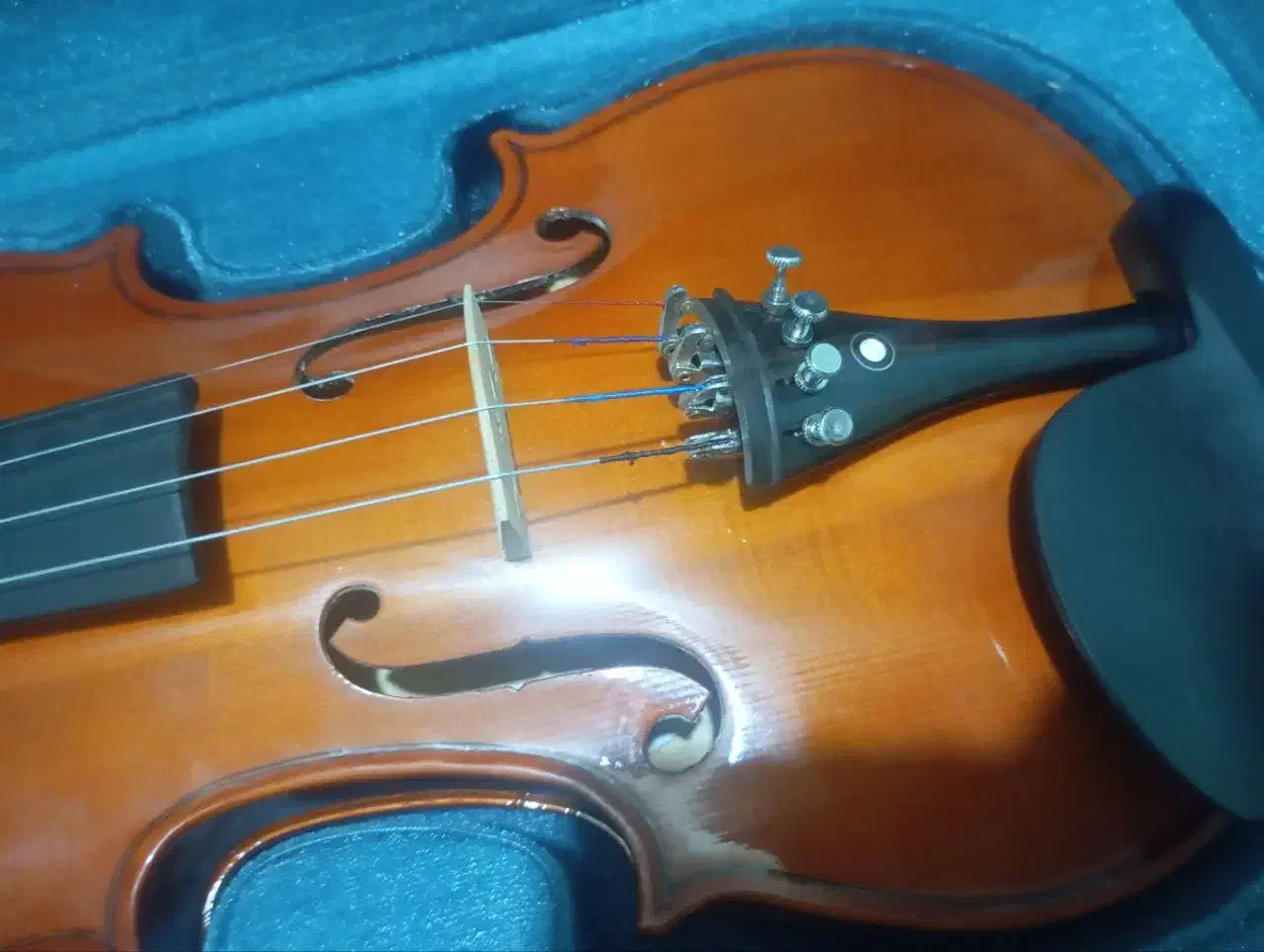 ویولن|ویولن|ملایر, |دیوار