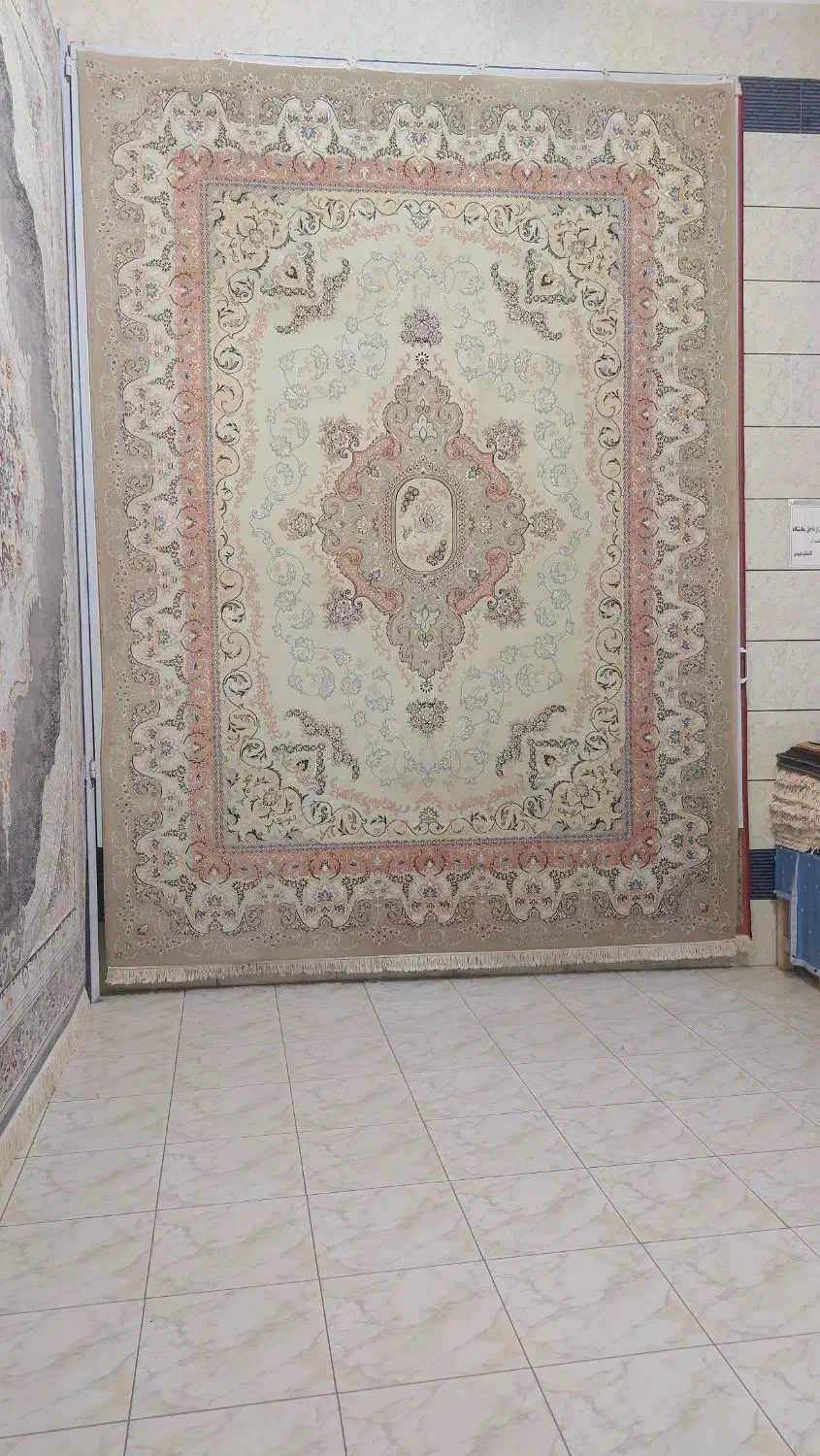 قالی ۱۲ متری یک جفت|فرش|شیروان (خراسان), |دیوار