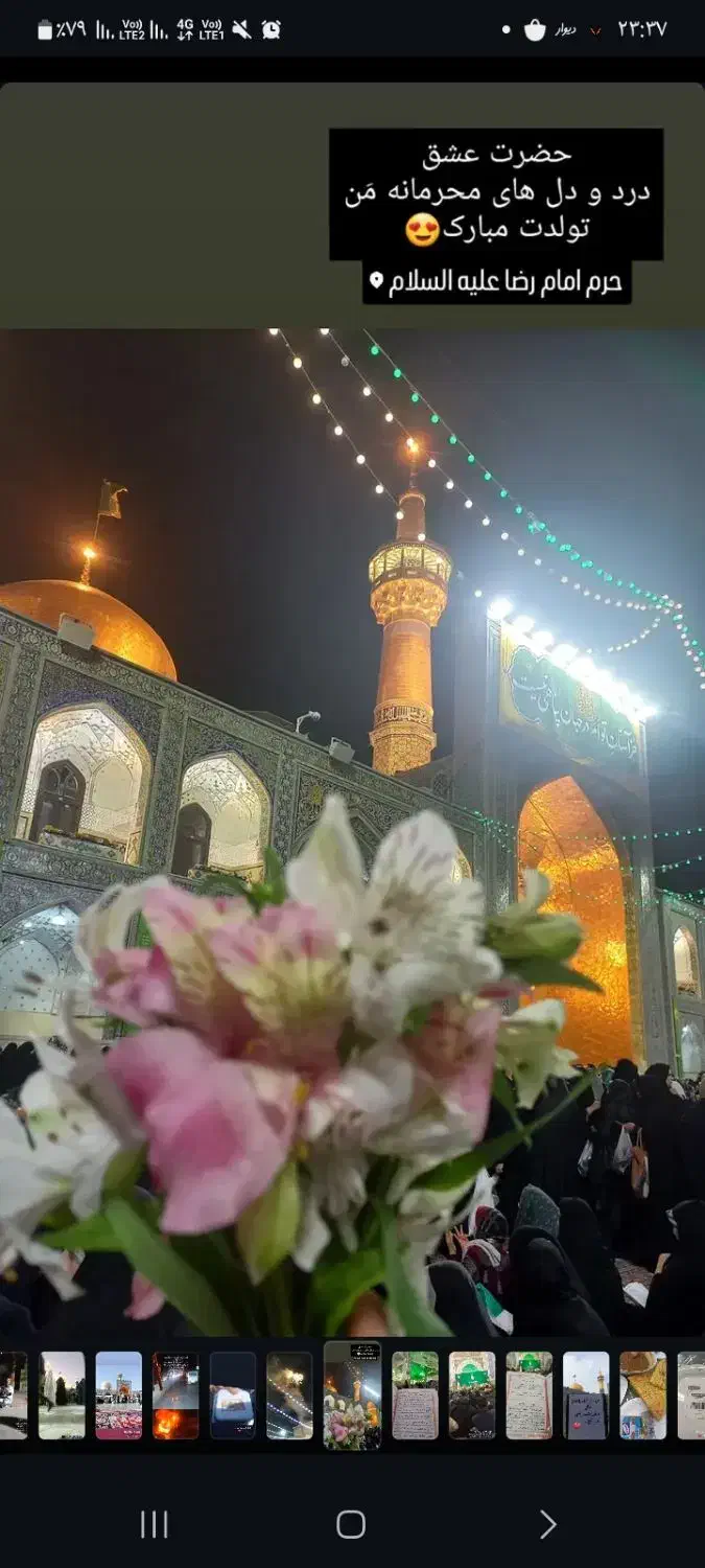 تور مشهد الرضا|تور و چارتر|بابل, |دیوار