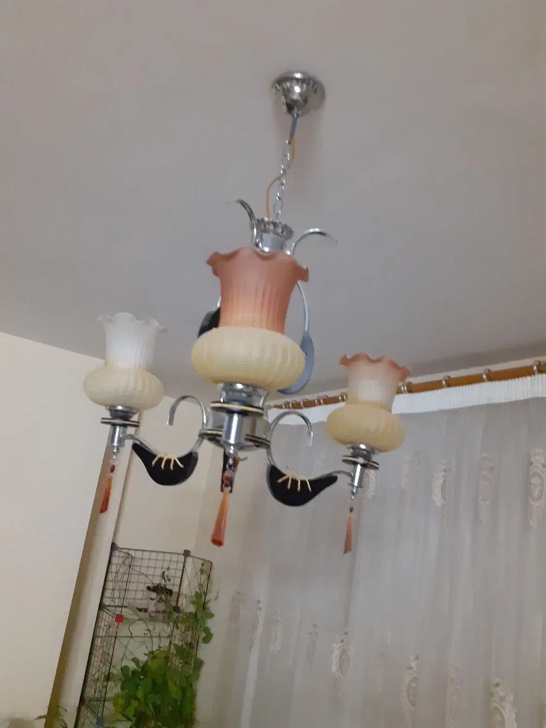 دو عدد لوستر|لوستر و چراغ آویز|کرمان, |دیوار