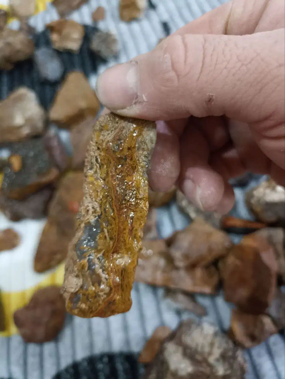 سنگ شجر و عقیق|کلکسیون اشیاء عتیقه|سبزوار, امیر کبیر|دیوار