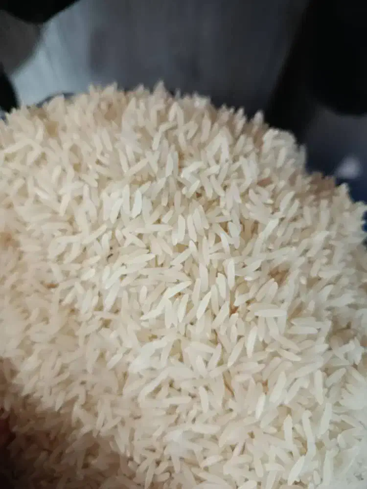 بزنج فجر امسالی خوش عطر|عمدهفروشی|آق قلا, |دیوار