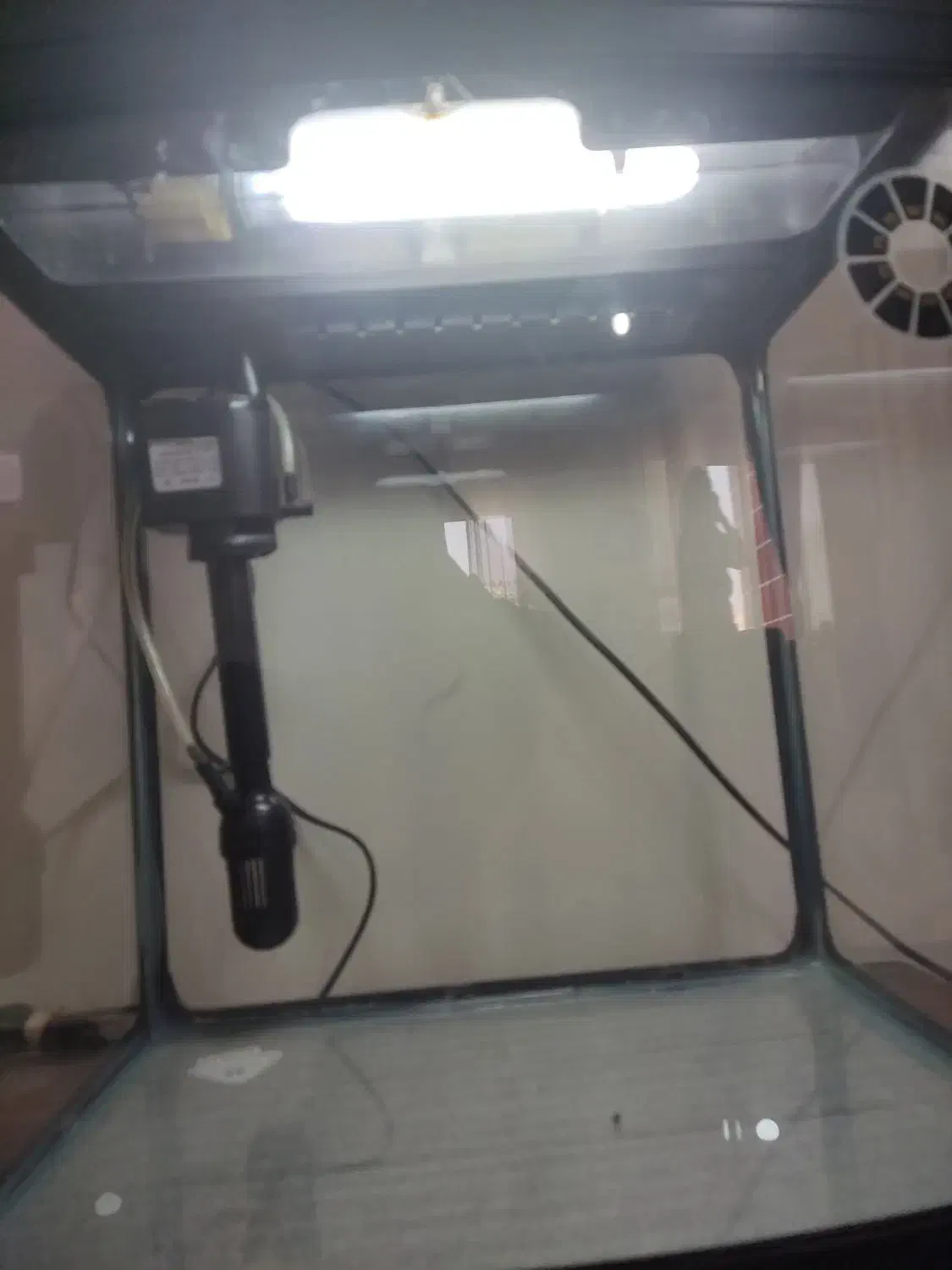 آکواریوم شیشه خم شرکتی ماهیران|ماهی|ارومیه, |دیوار