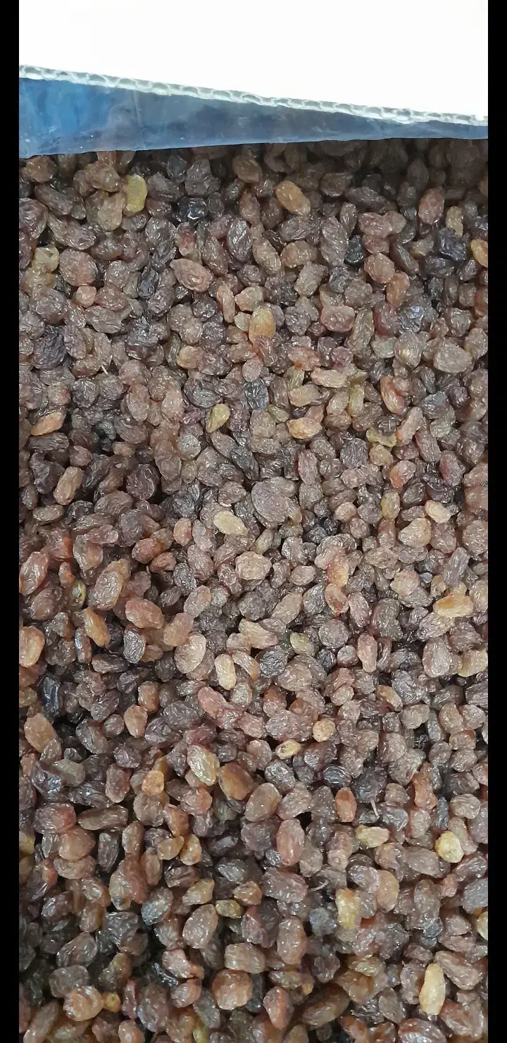 فروش کشمش افتابی و تیزآبی|عمدهفروشی|لنگرود, |دیوار