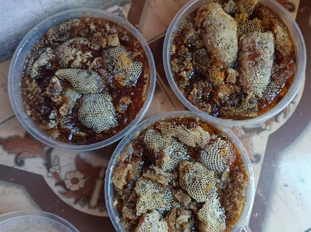 عسل نخیل عربی|خوردنی و آشامیدنی|تهران, زعفرانیه|دیوار