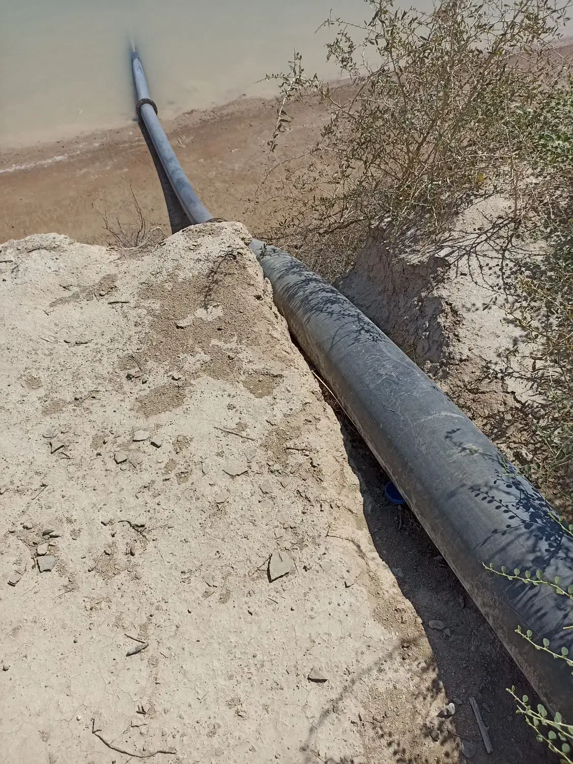 اجاره زمین کشاورزی|اجارهٔ کوتاهمدت ویلا و باغ|هندیجان, |دیوار