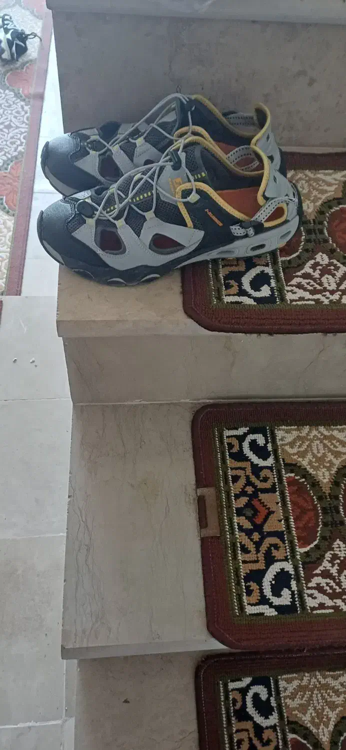 کفش|کیف، کفش، کمربند|کوثر, |دیوار