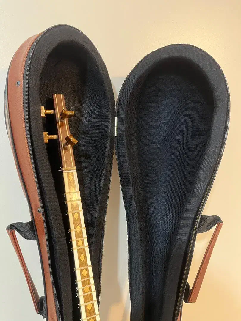 کیف و هارد کیس سه تار|سازهای سنتی|کرج, کوی امامیه|دیوار