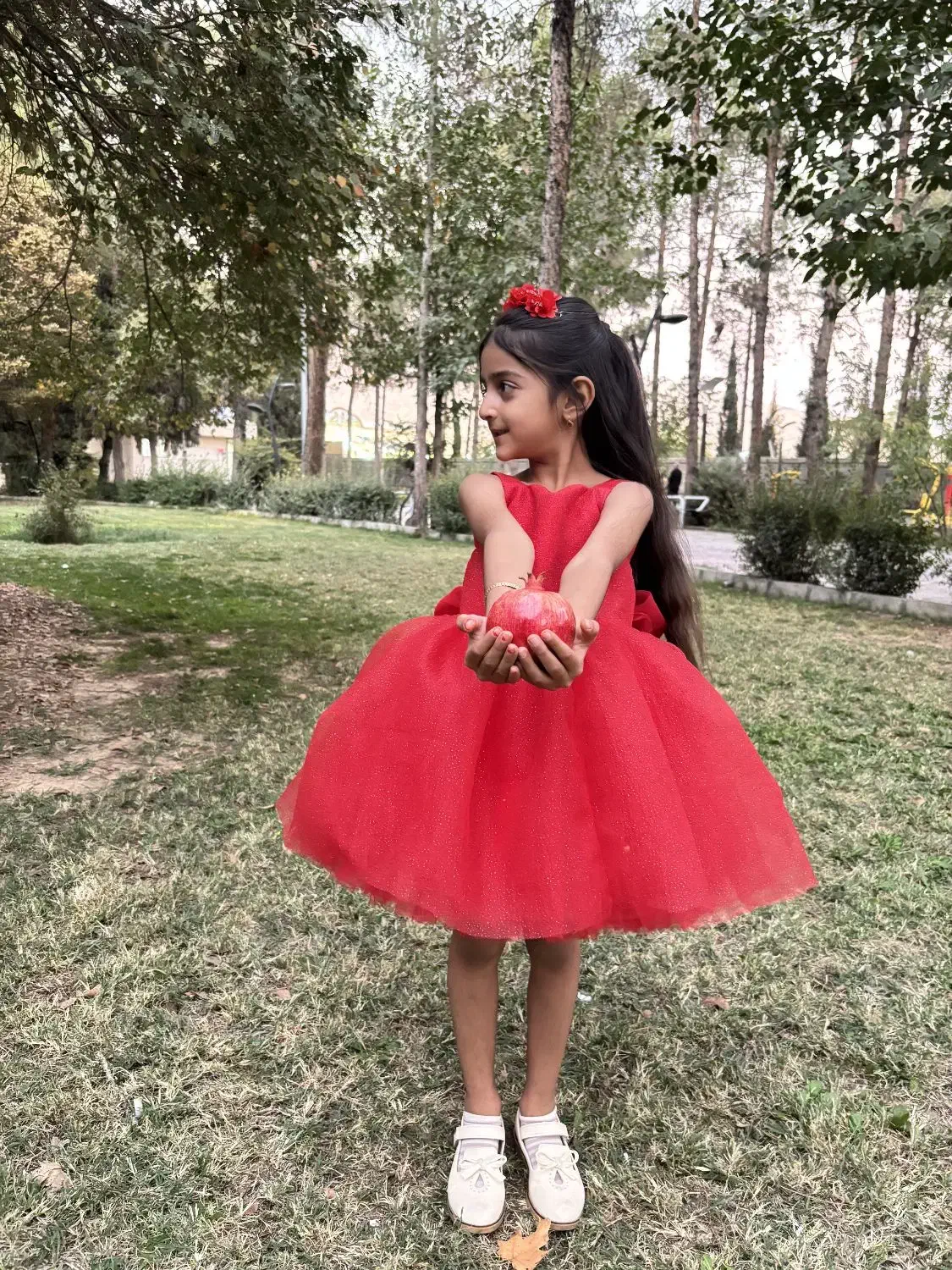 دوخت و اجاره لباس پرنسسی در سروستان|لباس|سروستان, |دیوار