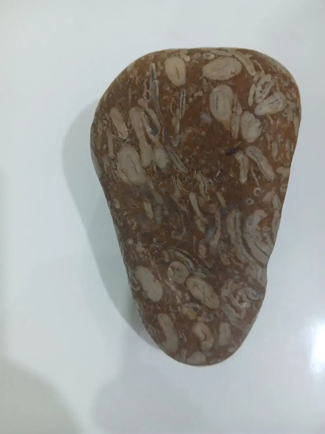 سنگ خاص|کلکسیون اشیاء عتیقه|آزادشهر, |دیوار