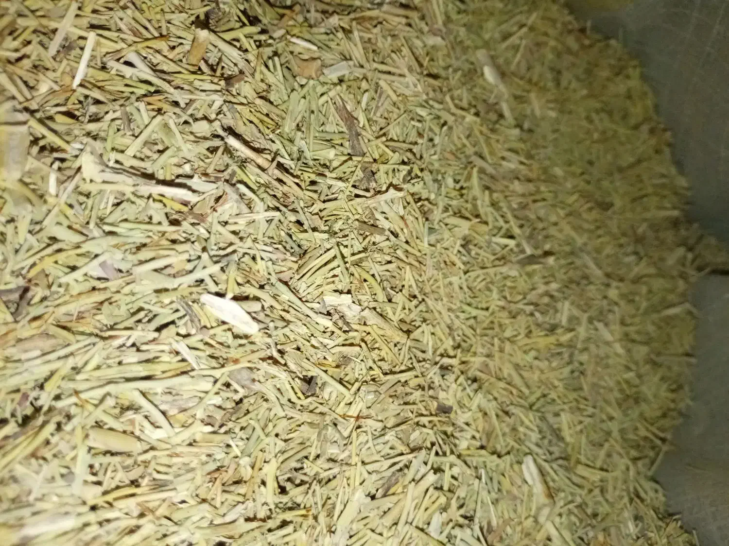 خار نرم|عمده‌فروشی|رضویه, |دیوار