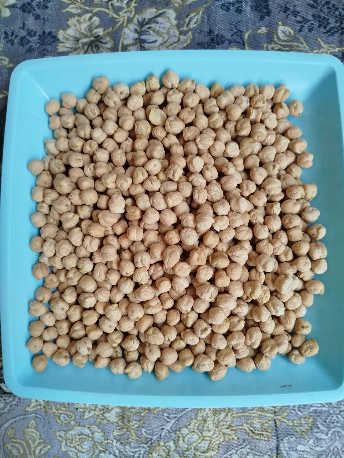 فروش انواع حبوبات مرغوب بصورت عمده و جزئی|عمدهفروشی|گنبد کاووس, |دیوار