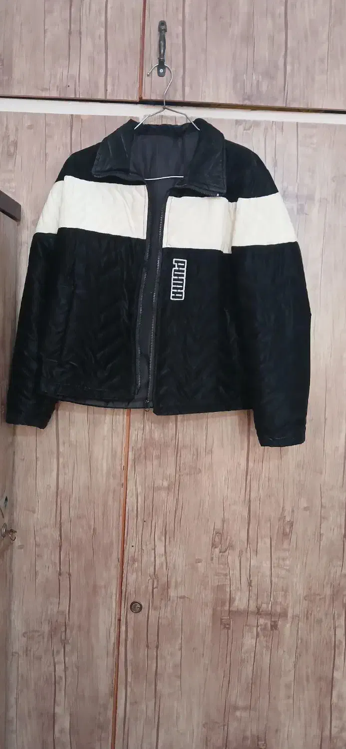 کاپشن بیستبالی|لباس|قدس, شهرقدس|دیوار