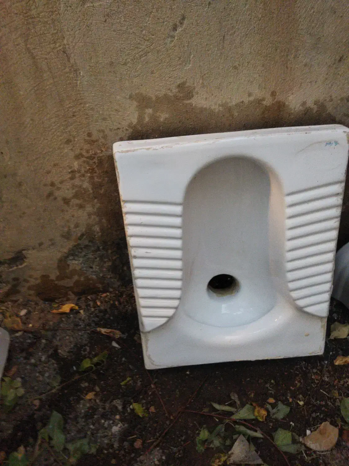 کاسه توالت|لوازم سرویس بهداشتی|کرمانشاه, |دیوار