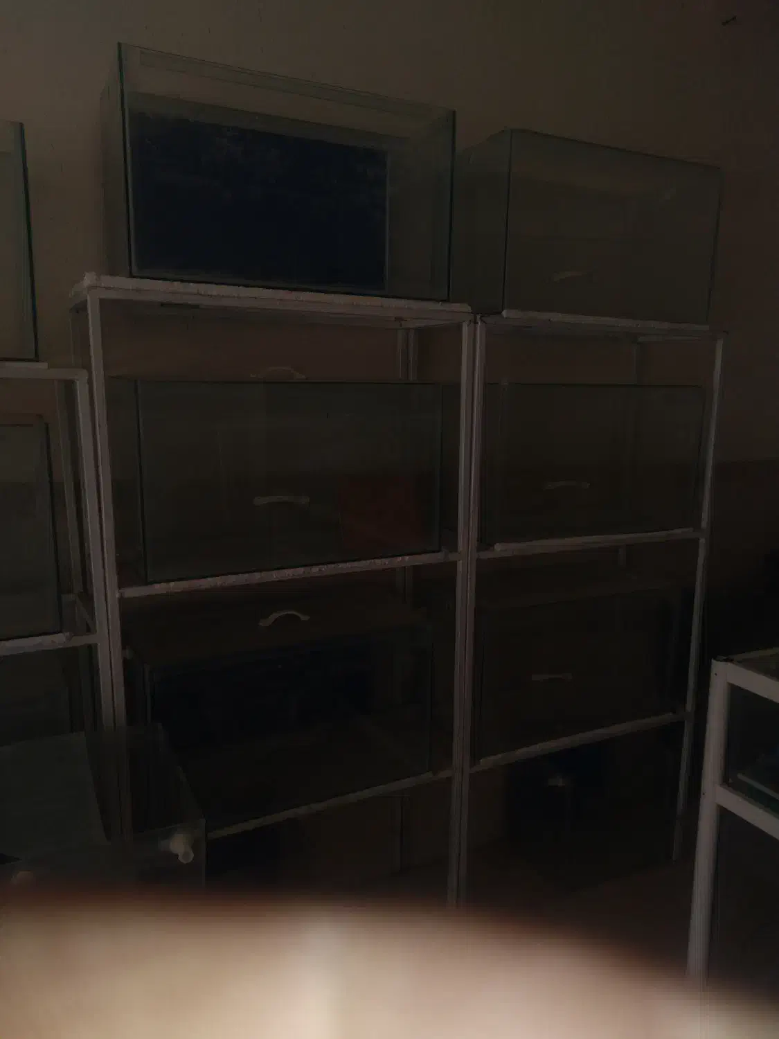 فوری۵۰۰ ت آکواریوم|ماهی|گلپایگان, |دیوار