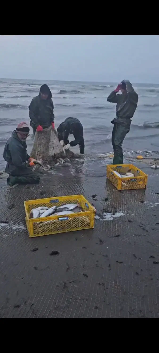 نیاز به همکار|استخدام صنعتی، فنی، مهندسی|چابکسر, |دیوار