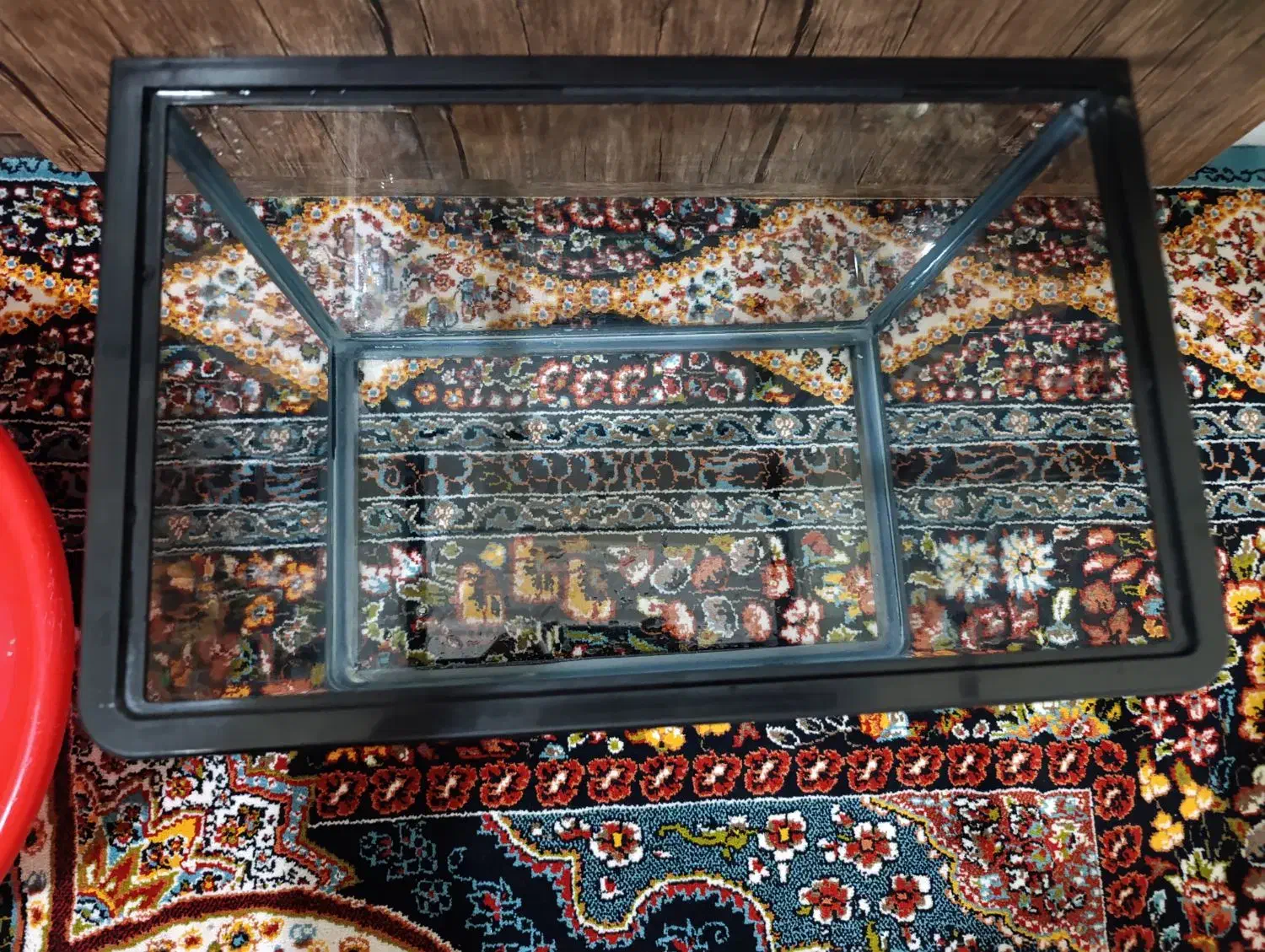 آکواریوم|ماهی|ری, شهادت|دیوار