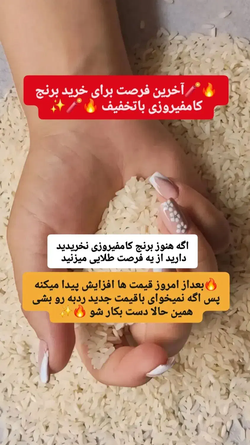 برنج نو اصل کامفیروز از تولید به مصرف|خوردنی و آشامیدنی|شیراز, شیخ روزبهان|دیوار
