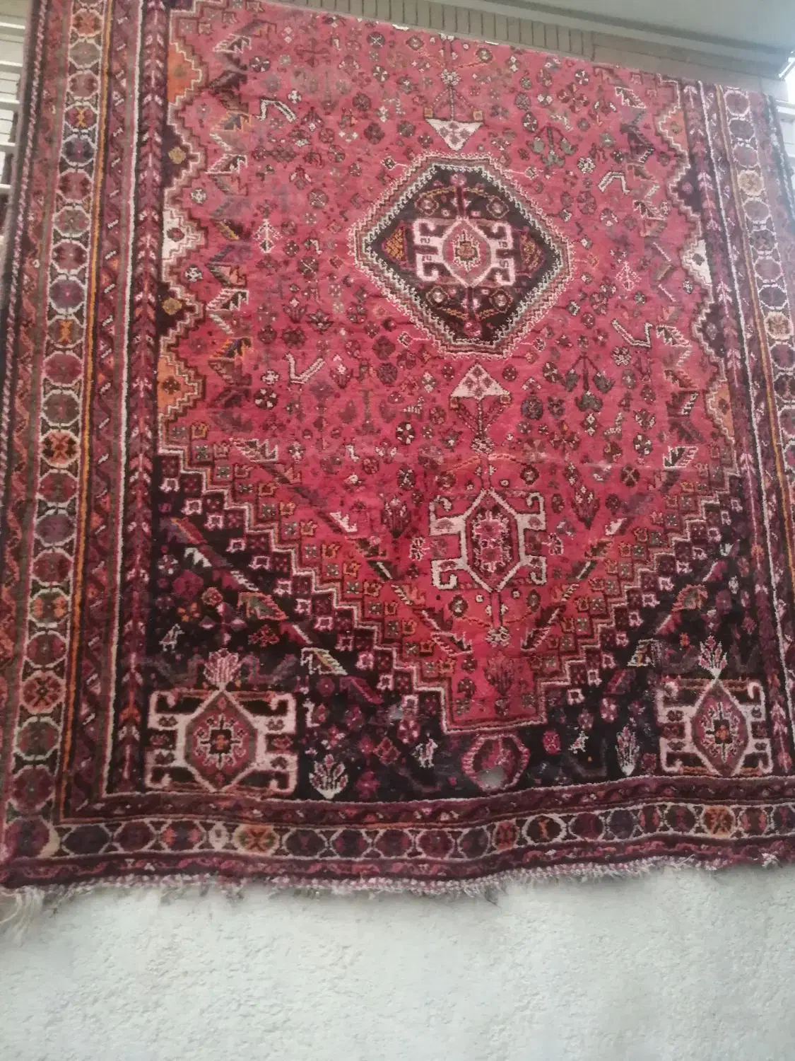 قالی ترکی دستباف قدیمی|فرش|شیراز, تاچارا|دیوار
