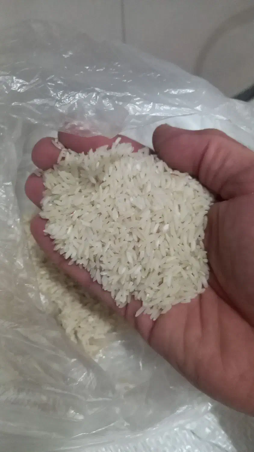 برنج هاشمی اصل درجه یک دره رود سالم و نیم دانه|خوردنی و آشامیدنی|پارسآباد, |دیوار