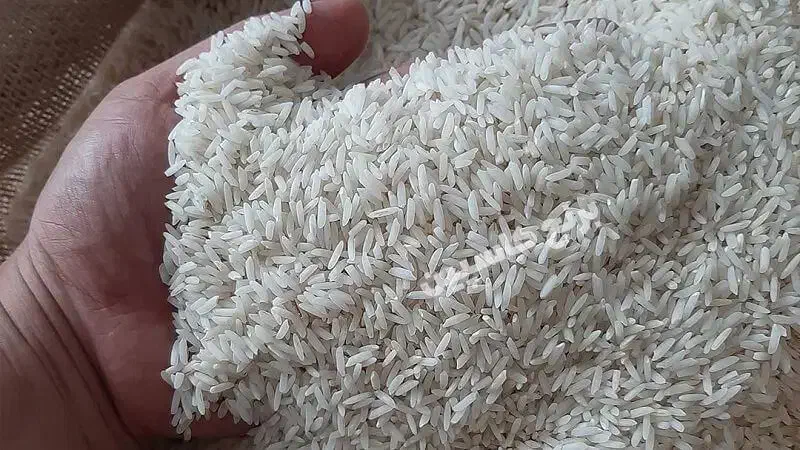 برنج هاشمی|خوردنی و آشامیدنی|اصفهان, شاهد|دیوار