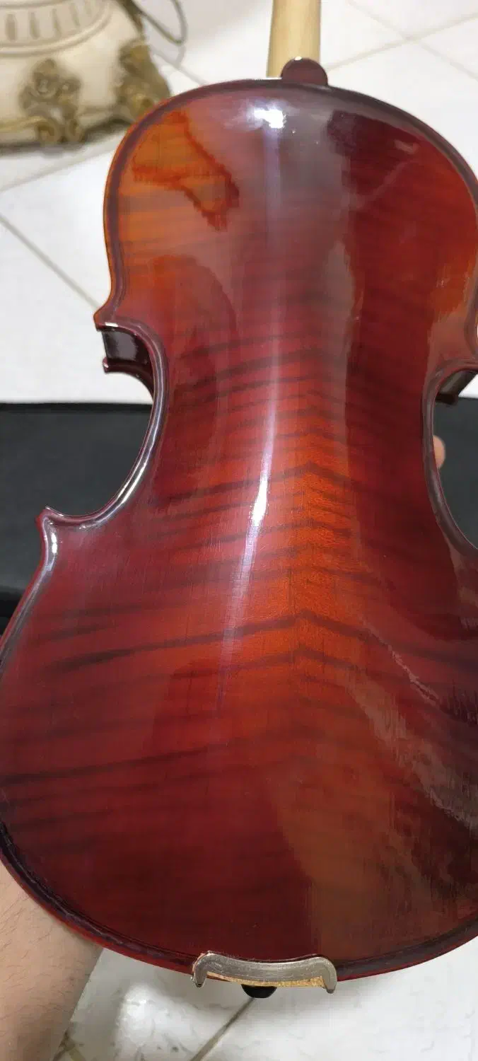 ساز ویولن تی اف|ویولن|اصفهان, باغ زرشک|دیوار