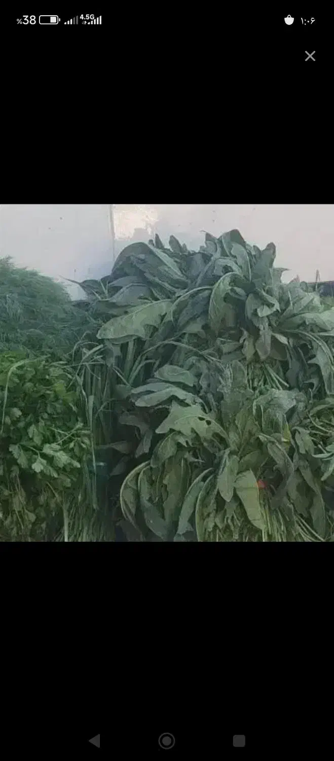 کارهای خونگی انجام میدم|خدمات نظافت|دزفول, |دیوار