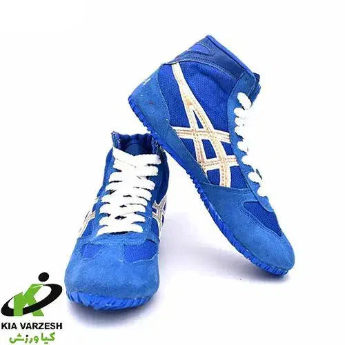 کفش کشتی ورزش|لباس|سقز, |دیوار