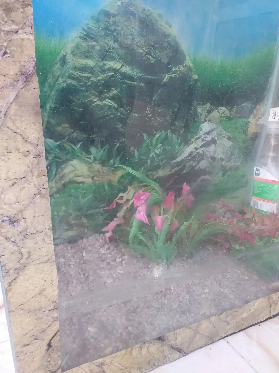 آکواریوم|ماهی|شادگان, |دیوار