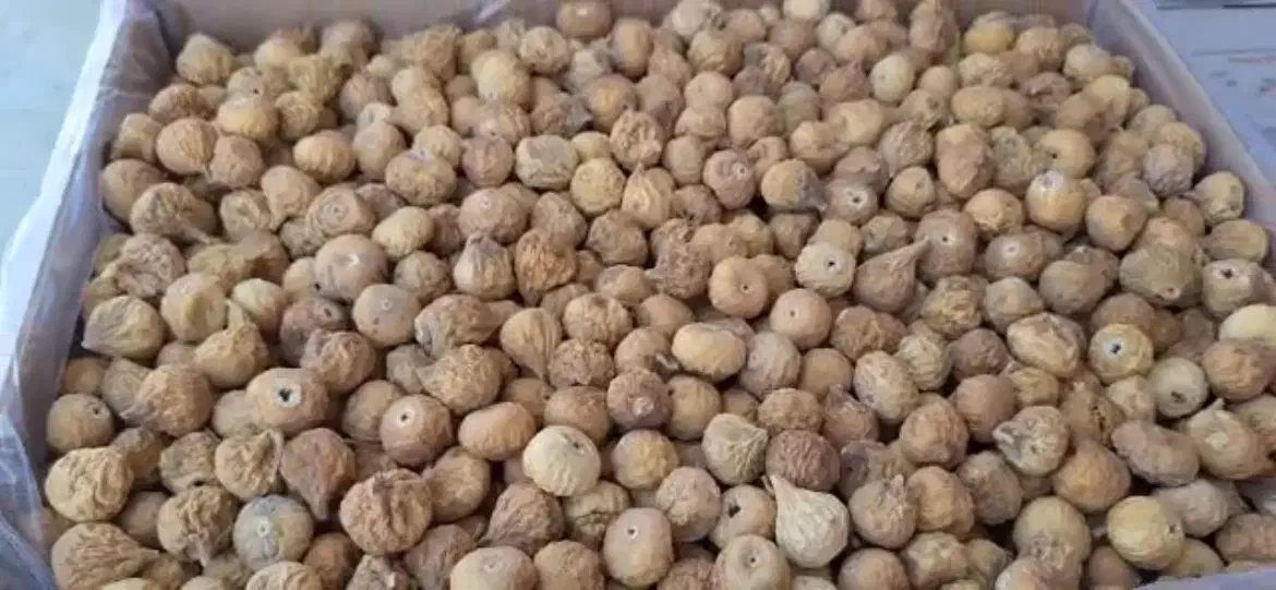 انجیر(خرید مستقیم از باغدار)|خوردنی و آشامیدنی|اصفهان, جلفا|دیوار