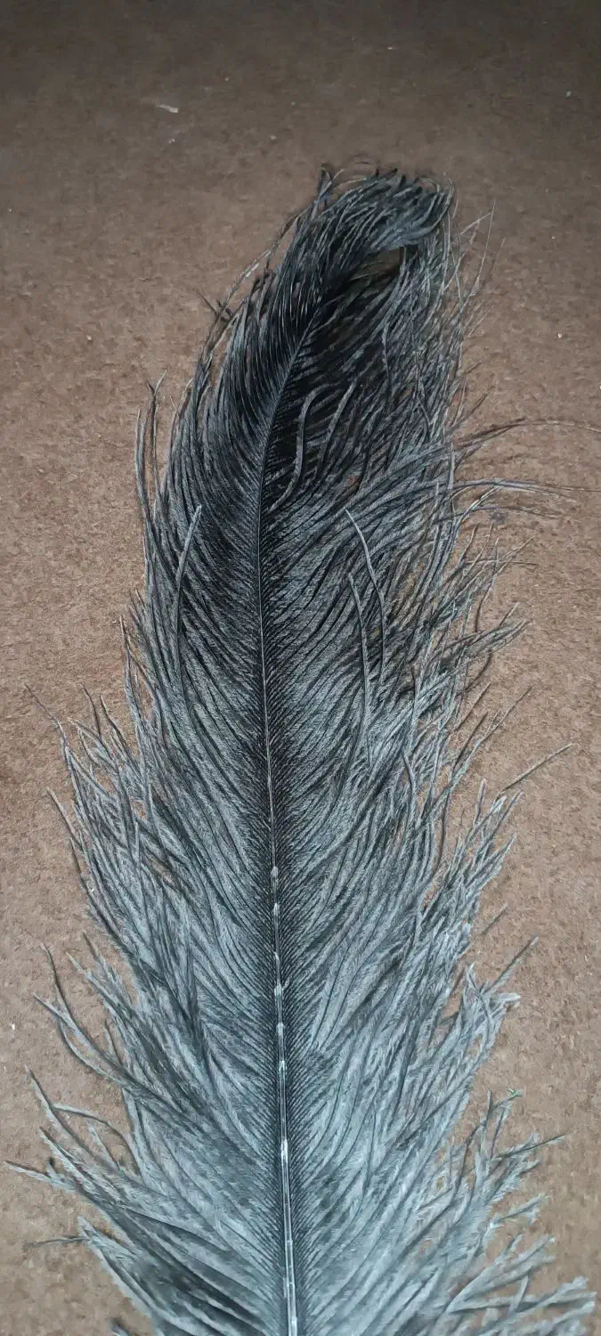 پر برای محرم وتزیینی|صنایع دستی و سایر لوازم تزئینی|محمدیه-قزوین, |دیوار