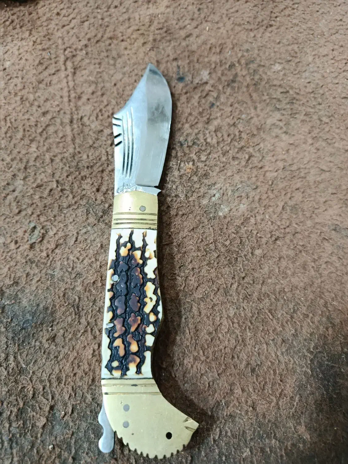 چاقو دنده ای|کوهنوردی و کمپینگ|ایرانشهر, |دیوار