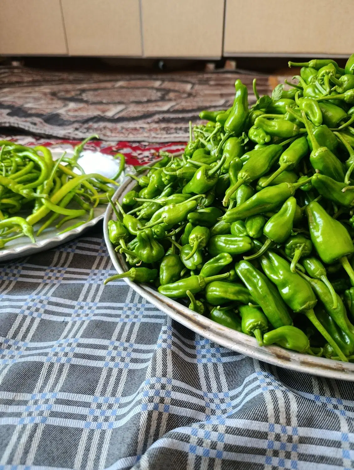 فلفل|خوردنی و آشامیدنی|زرین دشت (همدان), |دیوار