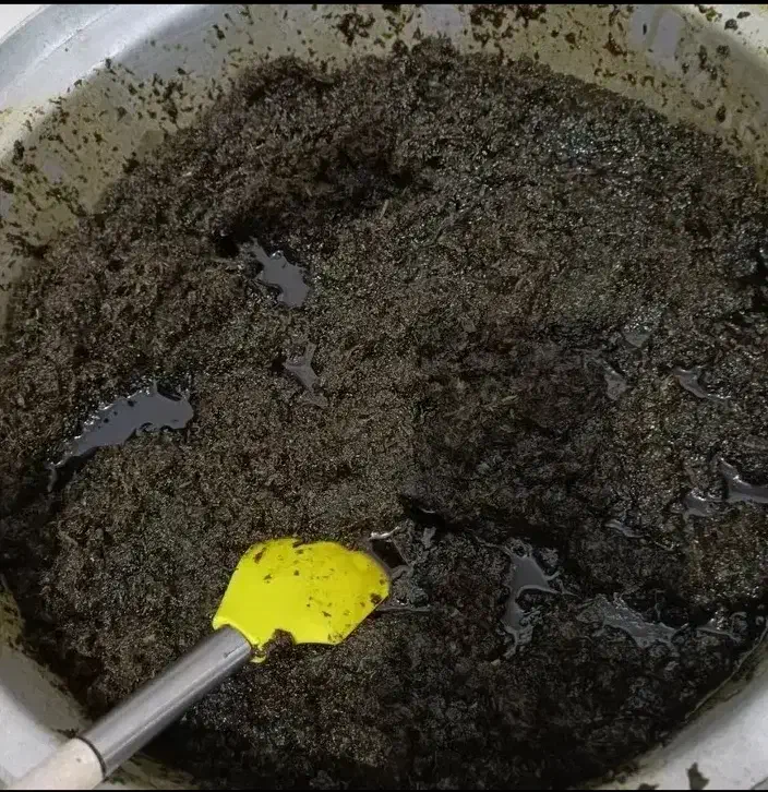 سبزی محلی|خوردنی و آشامیدنی|رشت, باهنر|دیوار