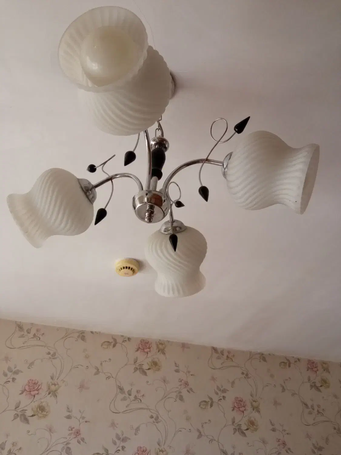 لوستر چهار شاخه|لوستر و چراغ آویز|سهند, |دیوار