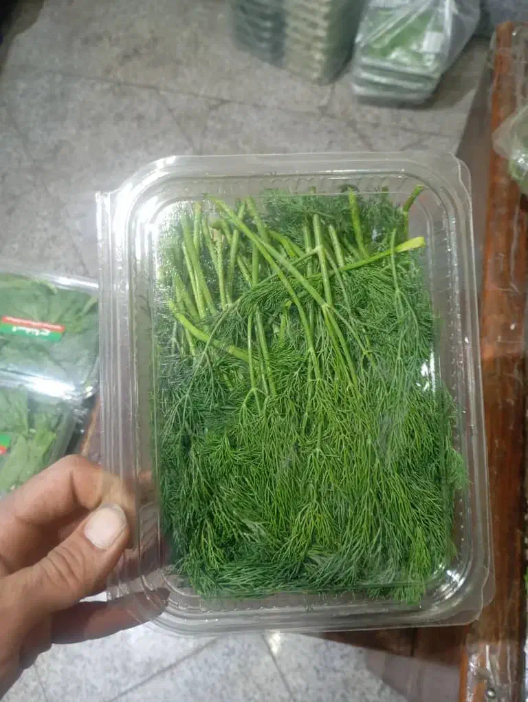 انواع سبزیجات ایرانی وفرنگی|خوردنی و آشامیدنی|تهران, سردارجنگل|دیوار