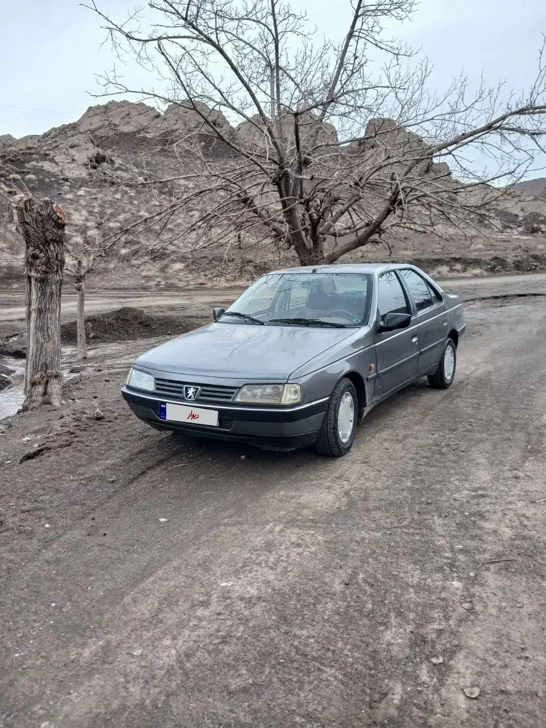 ۴۰۵ مدل ۹۳|خودرو سواری و وانت|سبزوار, مدرس|دیوار