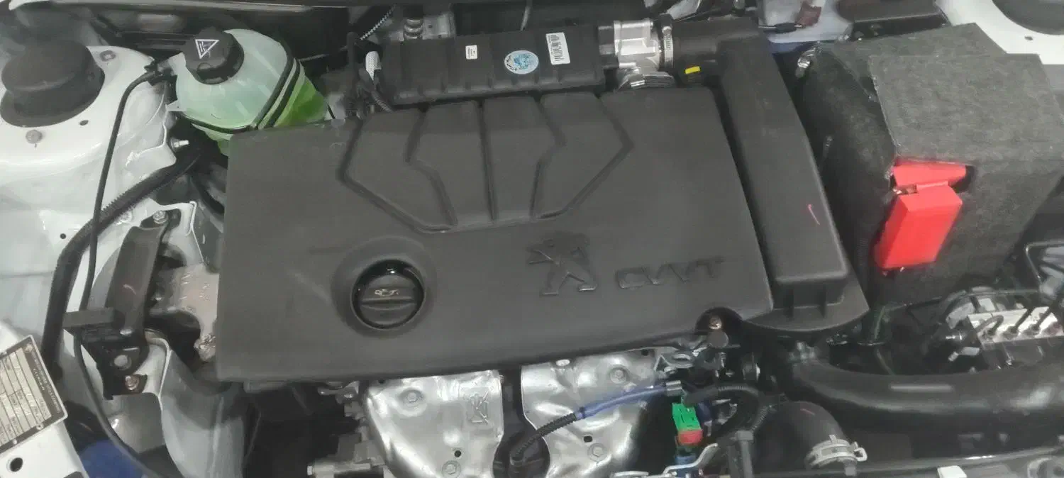 ۲۰۷ پانا صفر موتورپلاس صفر تحویلی دیروز|خودرو سواری و وانت|زاهدان, |دیوار