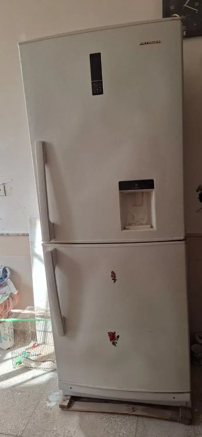 یخچال|یخچال و فریزر|قم, دروازه ری|دیوار