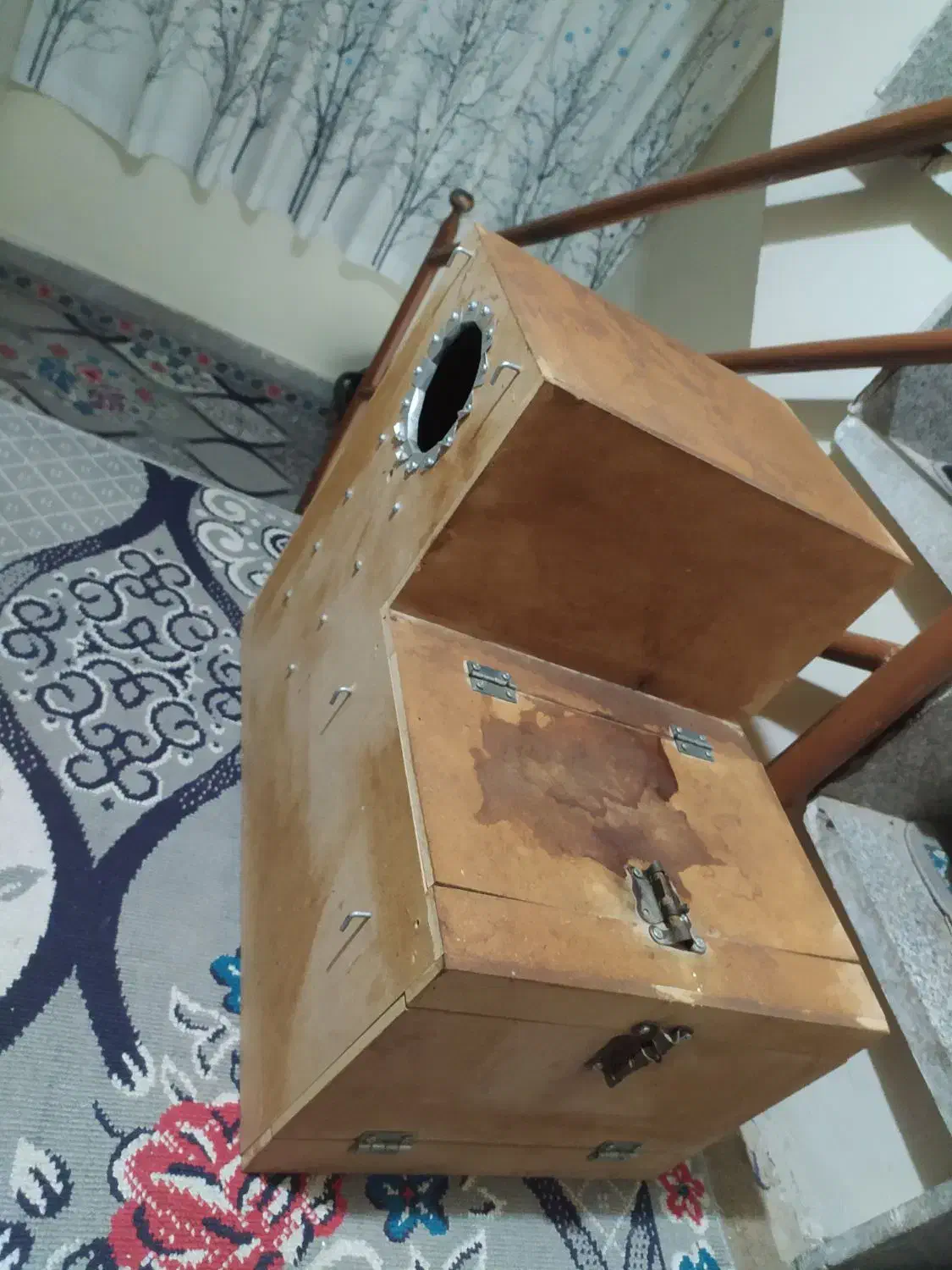 جوجه گرینچیک ملنگو شاه لانه قفس کاسکویی|پرنده|مشهد, نیزه|دیوار