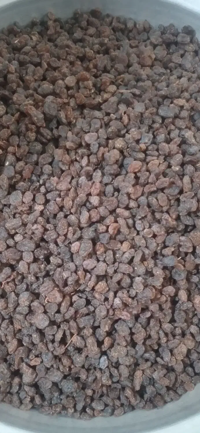 تخمه و کشمش|خوردنی و آشامیدنی|اندیشه, اندیشه فاز ۱|دیوار