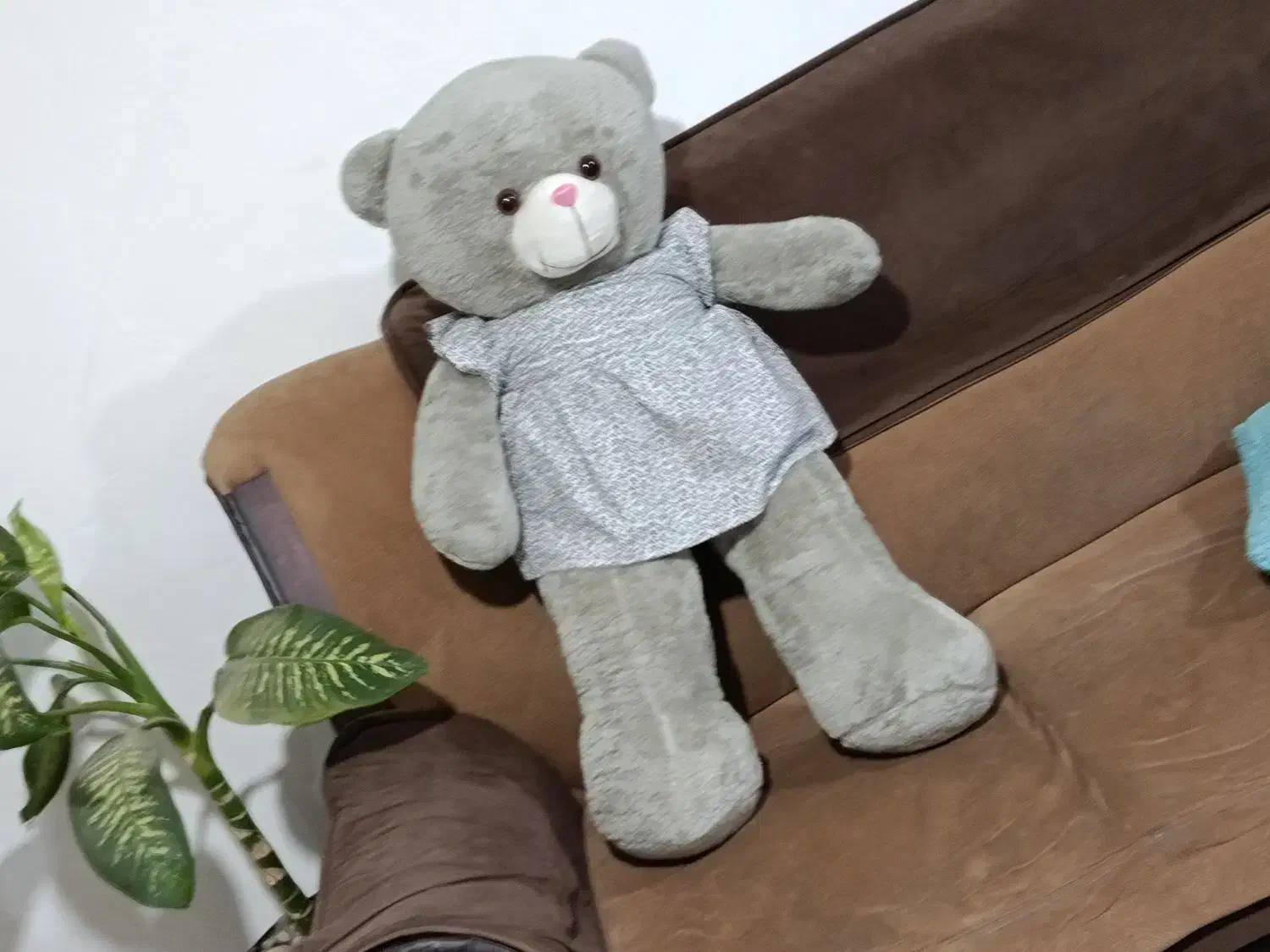 خرس بزرگ|اسباب‌بازی بچه|ملایر, |دیوار