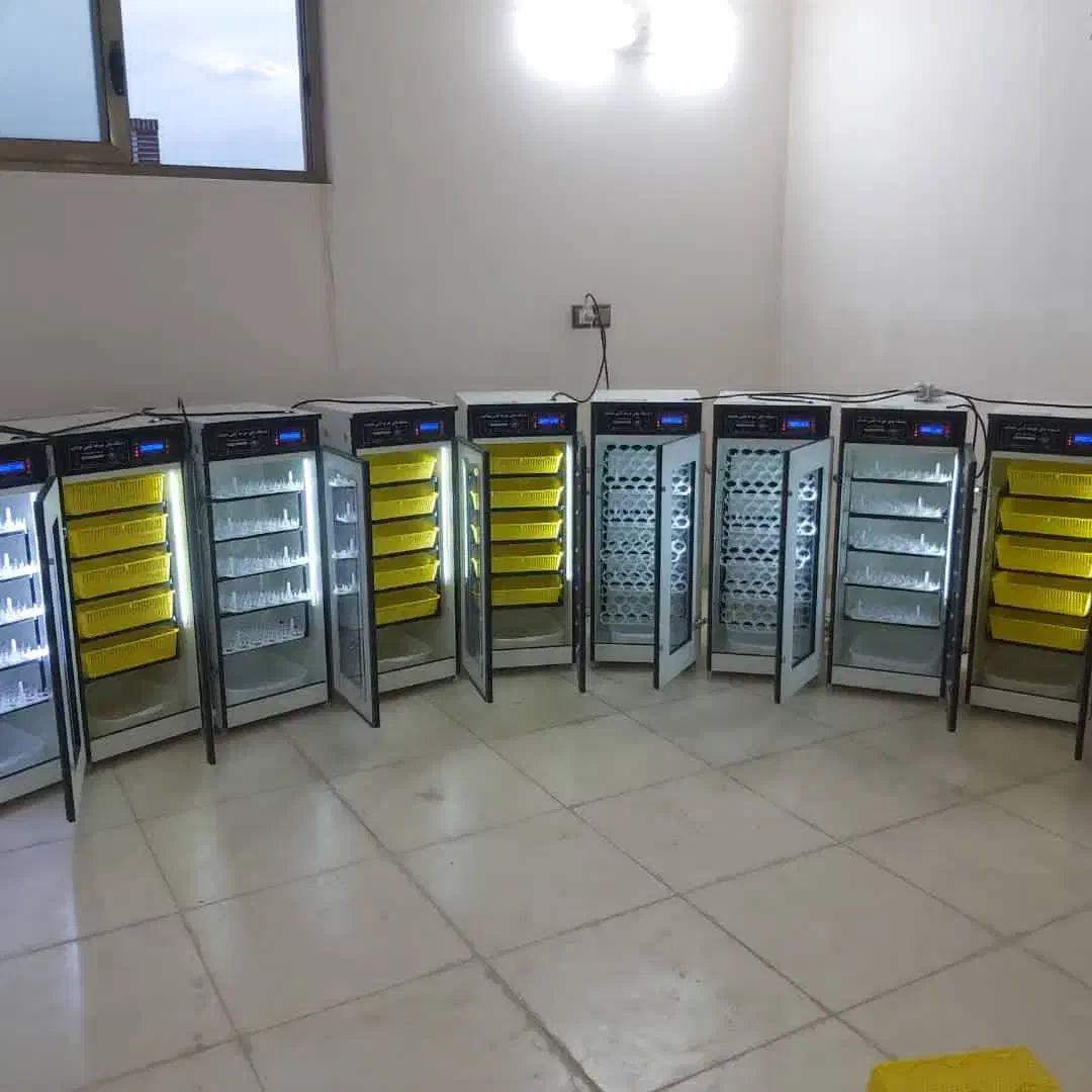 دستگاه جوجه کشی «نو شــرکتـی)))HDAYT|لوازم جانبی حیوانات|شادگان, |دیوار