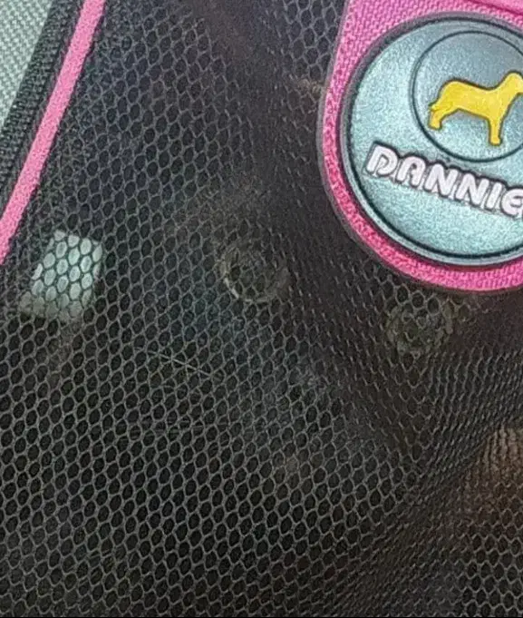 برای حمل حیوون قشنگ خونگیتون|لوازم جانبی حیوانات|رشت, نیکمرام|دیوار