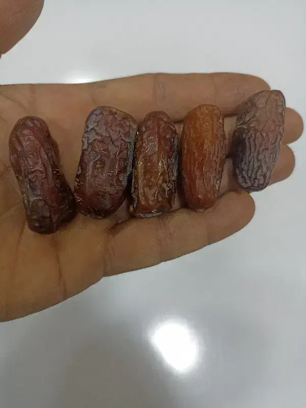 مواد غذایی|خوردنی و آشامیدنی|بوشهر, |دیوار