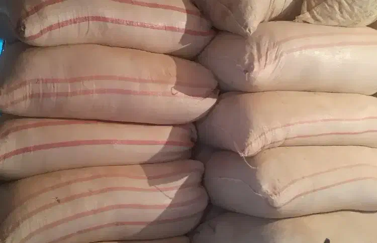 کاه گندم دیم و کاه یولاف|حیوانات مزرعه|کرمانشاه, |دیوار