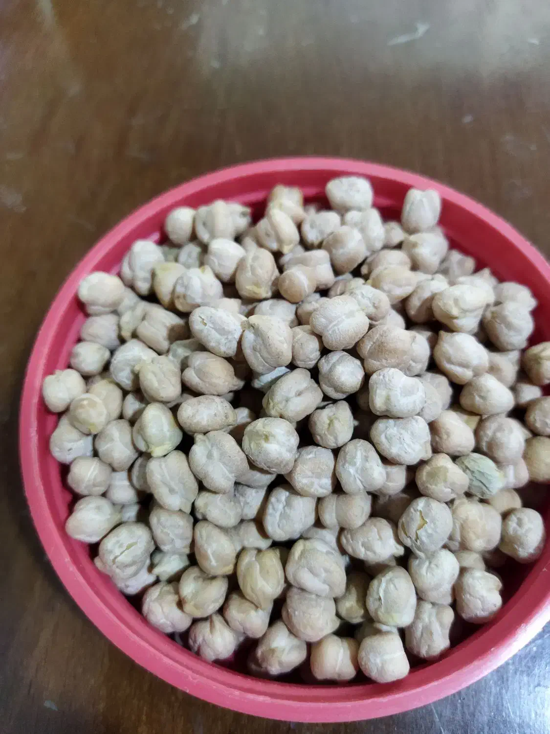 نخود دیمی امساله|خوردنی و آشامیدنی|محمدشهر, شهرک پیام (مهرالبرز)|دیوار