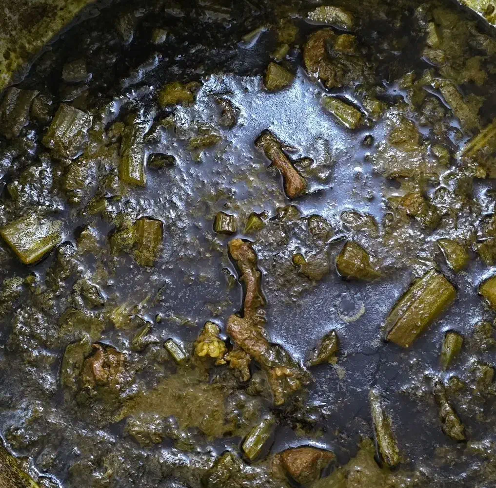 غذا خانگی|فعالیت داوطلبانه|برازجان, |دیوار